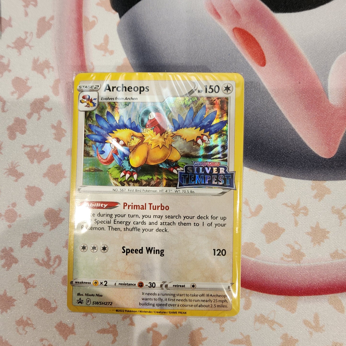 Exclusive Pokémon TCG Build & Battle Decks – Holo Prerelease Promo & TCG Live Code Included