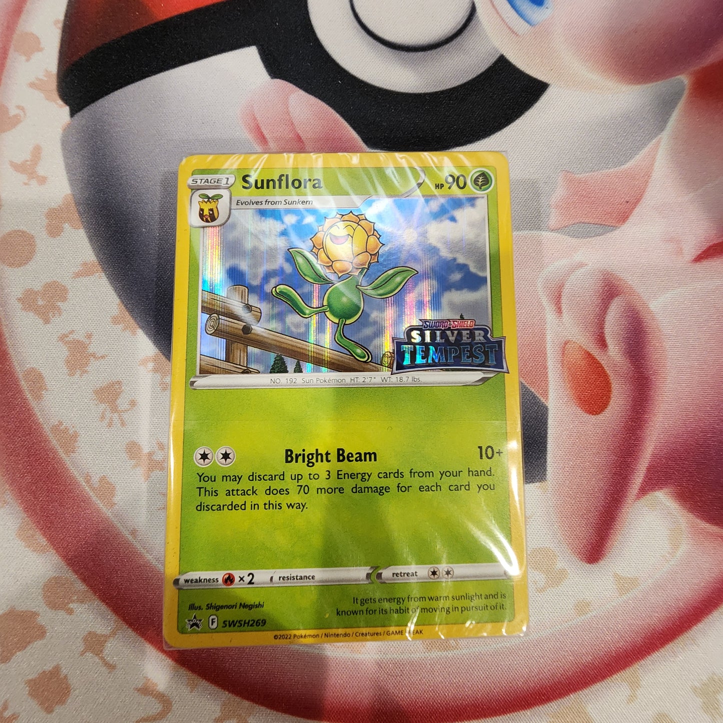 Exclusive Pokémon TCG Build & Battle Decks – Holo Prerelease Promo & TCG Live Code Included