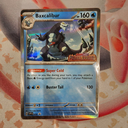 Exclusive Pokémon TCG Build & Battle Decks – Holo Prerelease Promo & TCG Live Code Included